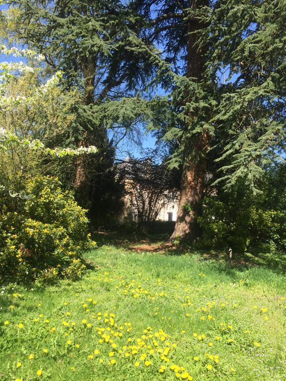 La Maison Des Gardes - Chambres D'Hotes Cluny Exteriér fotografie